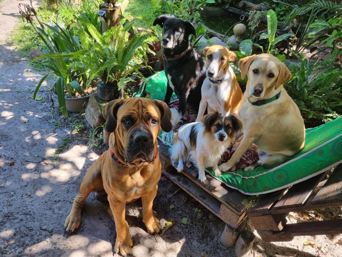 Kaia Homestead Sodwana Bay Ngoại thất bức ảnh